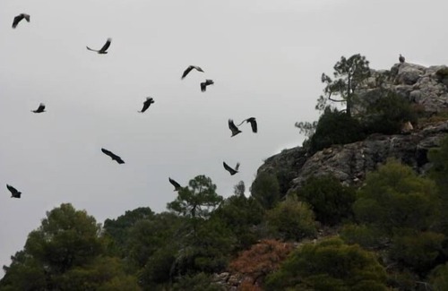 Beas de Segura Cottage | Los Valeros accommodation for 15 people
