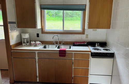 Northeast Michigan Cabin | Lost Pines Lodge - Uncle Sam - Cabin 1 - Pet Friendly