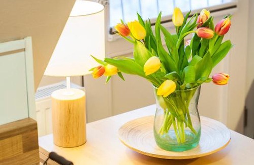 Schulp b. Rendsburg Apartment | Lotsenhaus