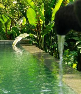 Bangunjiwo Villa | Lotus Forest Houses