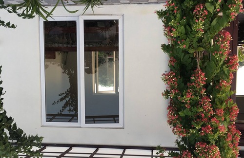 Huyen Kien Thuy Other | Lotus House with a beautiful rice field view