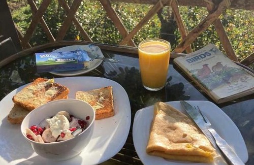 Sulthan Bathery Other | Lotus Jewel Forest Camping