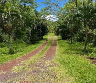 Leilani Estates House | Lotus Lava Cottage