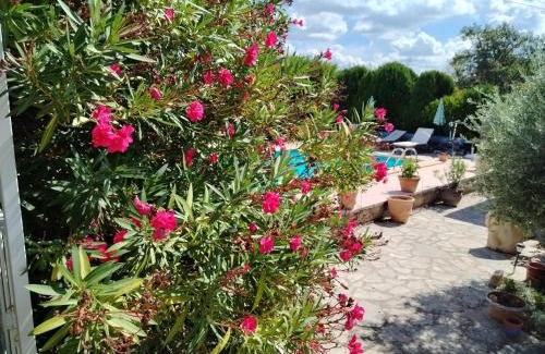Cabrieres-dʼAigues House | Lou Jasset