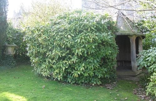 Swanage House | Louisa Lodge Swanage 1