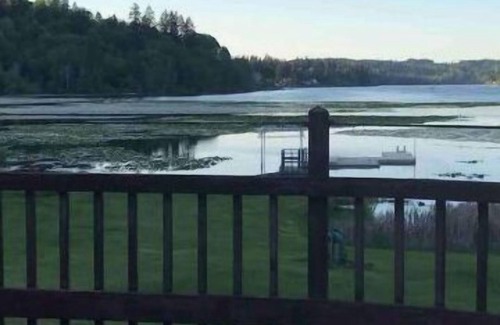 Port Orchard House | Lounge On The Lake In Privacy/Fly-in Friendly