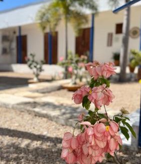 Porto das Dunas House | Lounge PDD