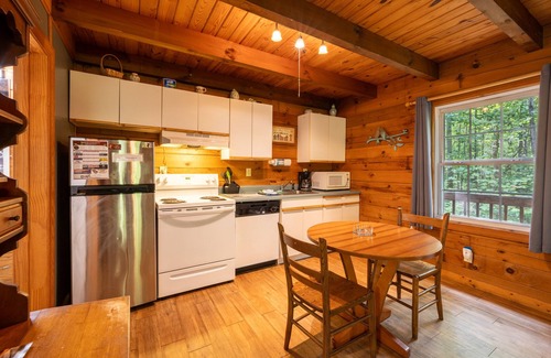 Sautee Nacoochee Cabin | Love Bird - The Perfect Nest!