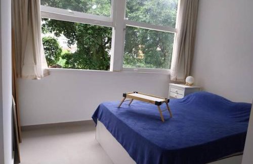 Santa Teresa Apartment | Love Glória Studio