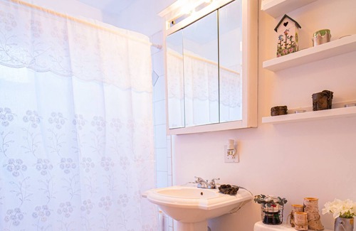 Summit Apartment | Lovely 1- Bedroom Apartment In Chicago Midway!
