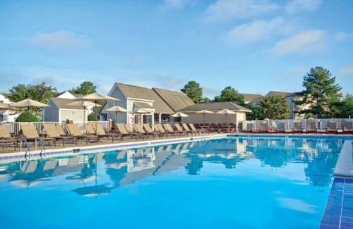Williamsburg Apartment | Lovely 1 bedroom near downtown Williamsburg, VA