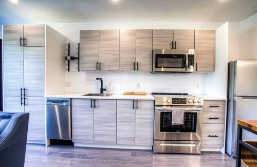 Pointe-Saint-Charles Apartment | Lovely 2 BDRs renovated condo near DT, metro
