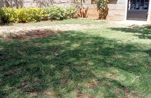 Nanyuki Ski Chalet | Lovely 2 bedroom house with a front & back yard and in the heart of Nanyuki Town
