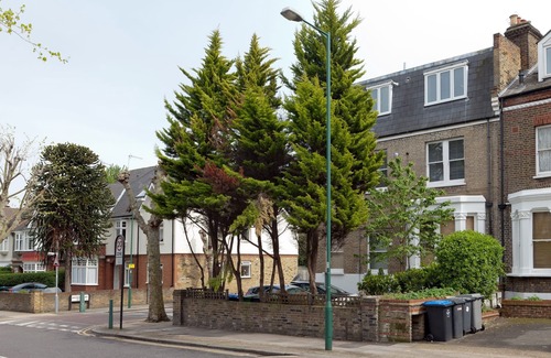 Queen's Park Apartment | LOVELY 2 BR 1BA APARTMENT 15 min to Oxford Street