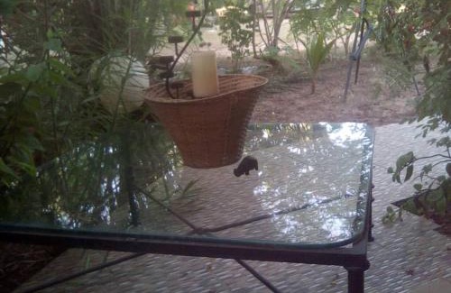 Sanyang House | Lovely 3-Bdrm Cottage w Private Patios Pkg Sanyang