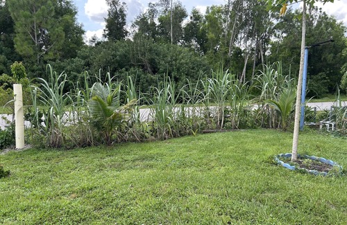 Westminister House | Lovely 3-bedroom house with garden in Lehigh Acres