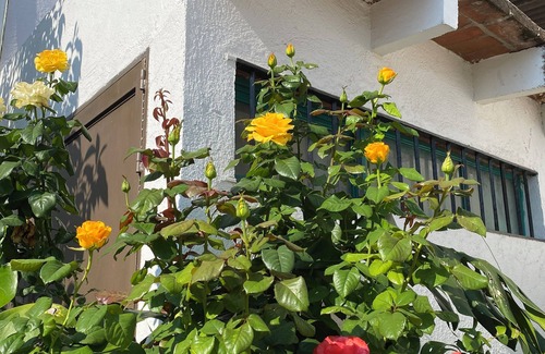 Centro House | Lovely 3-bedroom vacation half house in Tequisquiapan, centrally located