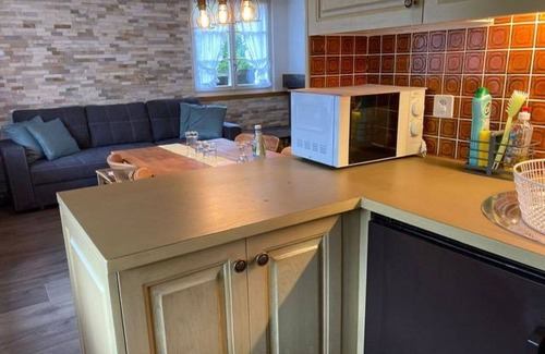 Ruedisbach Apartment | Lovely apartment for 4 people with WIFI, TV, balcony and pets allowed