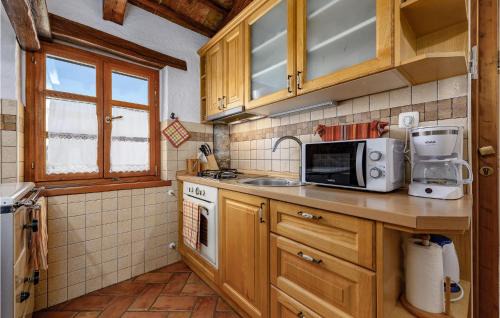 Gologorica Apartment | Lovely Apartment In Cerovlje With Wifi