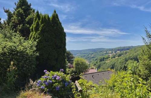 Krausenbach Apartment | Lovely apartment in Dammbach