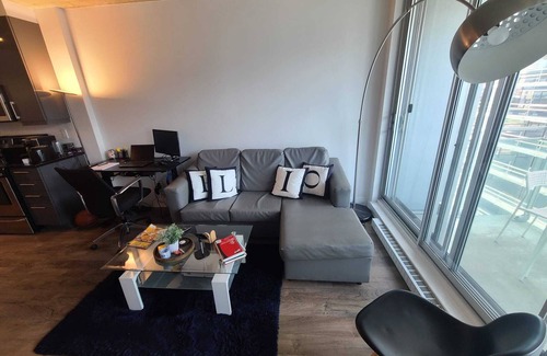 Griffintown Condo | Lovely apartment with city view