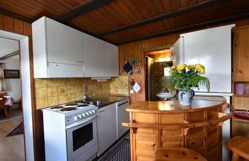Tavanasa Apartment | Lovely Apartment with Terrace Balcony Heating Parking