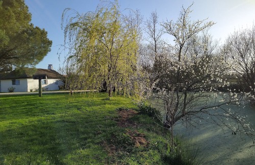 Saint-Hilaire-de-Riez House | Lovely Bourrine Vendéenne in its own green setting.