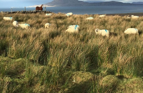 Killadoon Cottage | Lovely Bungalow Featuring Panoramic Ocean And Mountain Views.