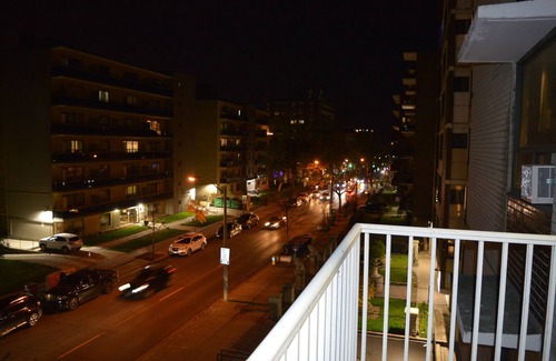 Parkdale Condo | Lovely Condo in Toronto