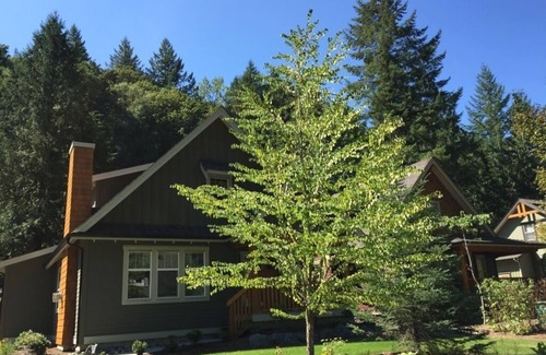 Lindell Beach Cottage | Lovely cottage on Cultus Lake