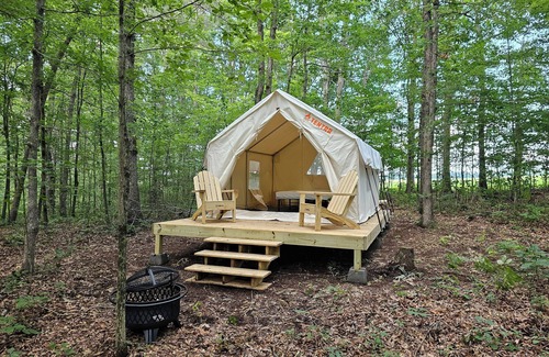 Deer Lodge RV Rental | Lovely glamping site off the beaten path in a beautiful wooded setting.