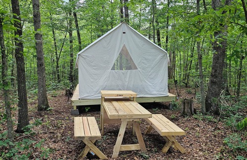Deer Lodge RV Rental | Lovely glamping site off the beaten path in a beautiful wooded setting.