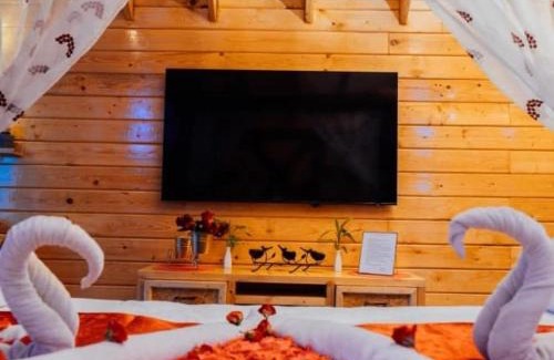 Kukatpally Housing Board Colony House | Lovely Hawk Wooden Cottage