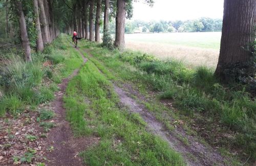 Merksplas House | Lovely Holiday Home in Merksplas with Fenced Garden