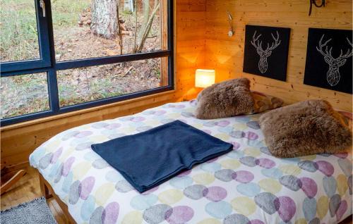Labaroche House | Lovely Home In Labaroche With Sauna