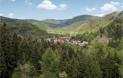 Lautenthal House | Lovely Home In Lautenthal With Wifi