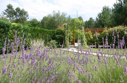 Lacanau House | Lovely house, facing south, quiet and wooded area, near lake, pool
