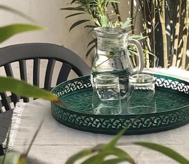 Trebes House | Lovely house with courtyard and terrace near canal du Midi