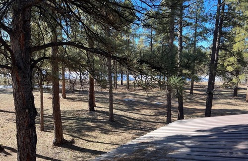 Mancos Apartment | Lovely loft apartment in beautiful Mancos!