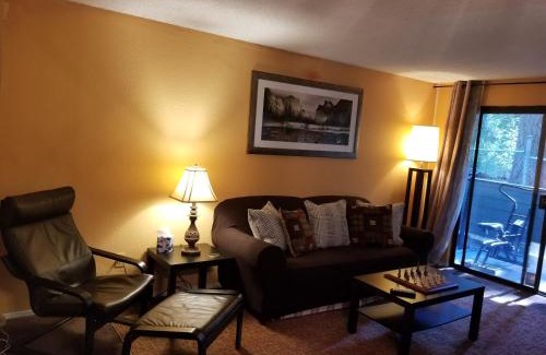 Federal Way Apartment | Lovely One bedroom condo with indoor fireplace.