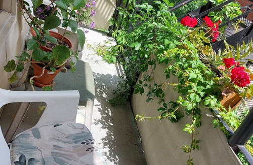 Plateau Mont Royal Apartment | lovely plateau apartment on Parc Laurier