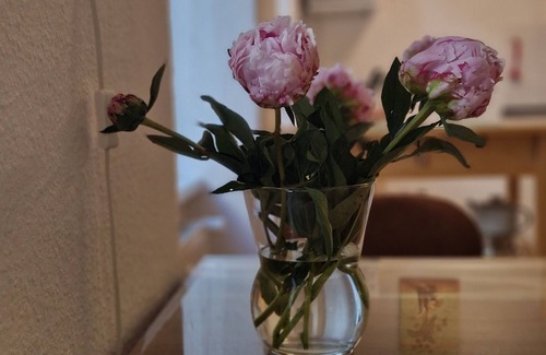 Prenzlauer Berg Condo | Lovely Prenzy Prenzy