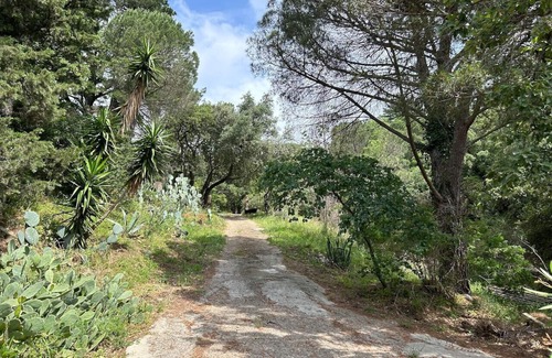 La Garde-Freinet House | Lovely renovated house with terrace and garden