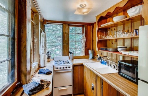 Idaho Springs Cabin | Lovely Rustic Creekside Cabin - Right on the Water & Pet Friendly!
