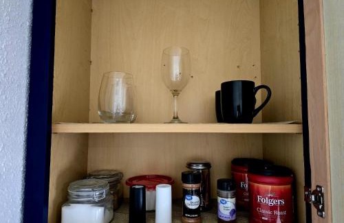 Carrollwood Apartment | Lovely Single Apartment