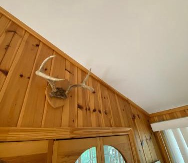 Head Lake House | Lovely waterfront private cottage with hot tub in Kawartha Lakes