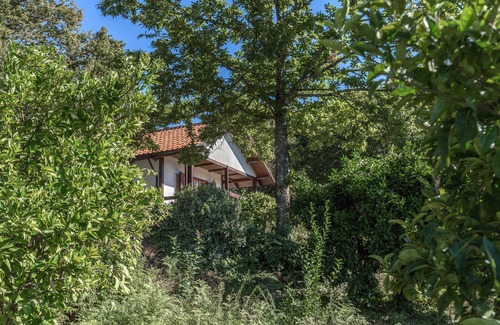 Pico Ski Chalet | Lovely wooden house with 5 acres of outdoors, located in a small rural village