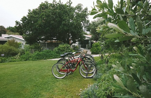 Knysna Hotel | Lovemore Lodges Knysna