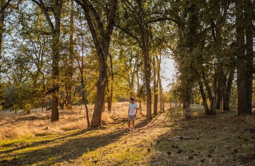 Mariposa House | Lovers nest by Casa Oso with private hiking trails and pond