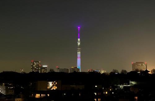 Nezu Apartment | LoveTokyo Maisonette Terrace